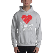 Load image into Gallery viewer, Love Wins Hooded Sweatshirt