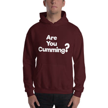 Load image into Gallery viewer, Are You Cumming? Hooded Sweatshirt