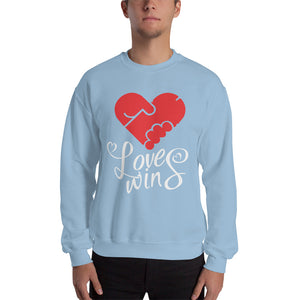 Love Wins Sweatshirt
