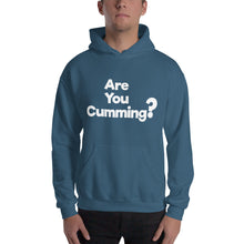 Load image into Gallery viewer, Are You Cumming? Hooded Sweatshirt