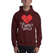 Load image into Gallery viewer, Love Wins Hooded Sweatshirt