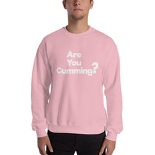 Load image into Gallery viewer, Are You Cumming? Sweatshirt